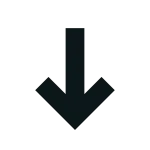 Load SVG Icon